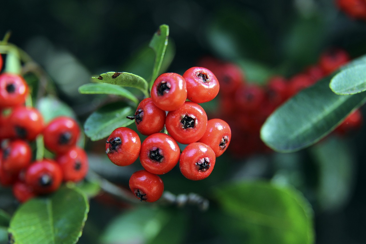 证据链的完 证据链的完