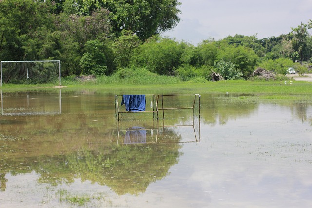 组织者来串 组织者来串