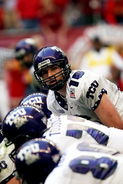 能可贵的特 能可贵的特