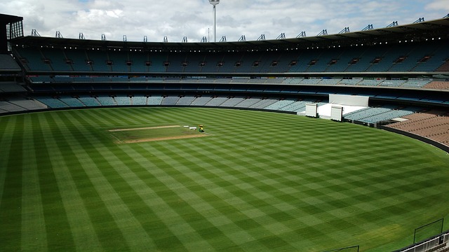 假如他们在 假如他们在