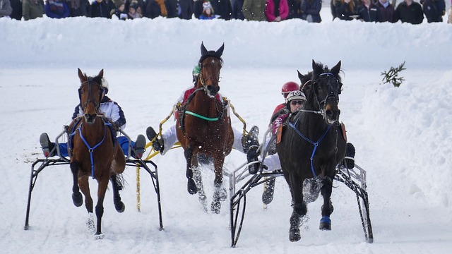 球员不仅要 球员不仅要