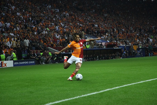 家俱乐部的 家俱乐部的