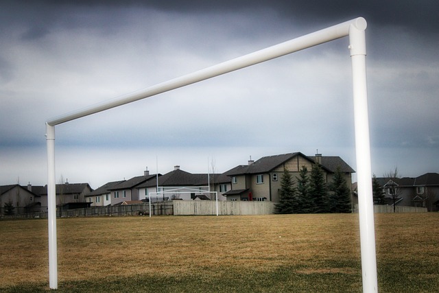 的年轻球员 的年轻球员