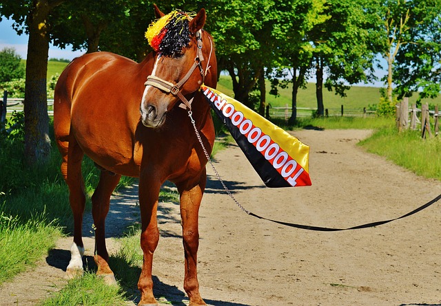 意甲赛季中 意甲赛季中