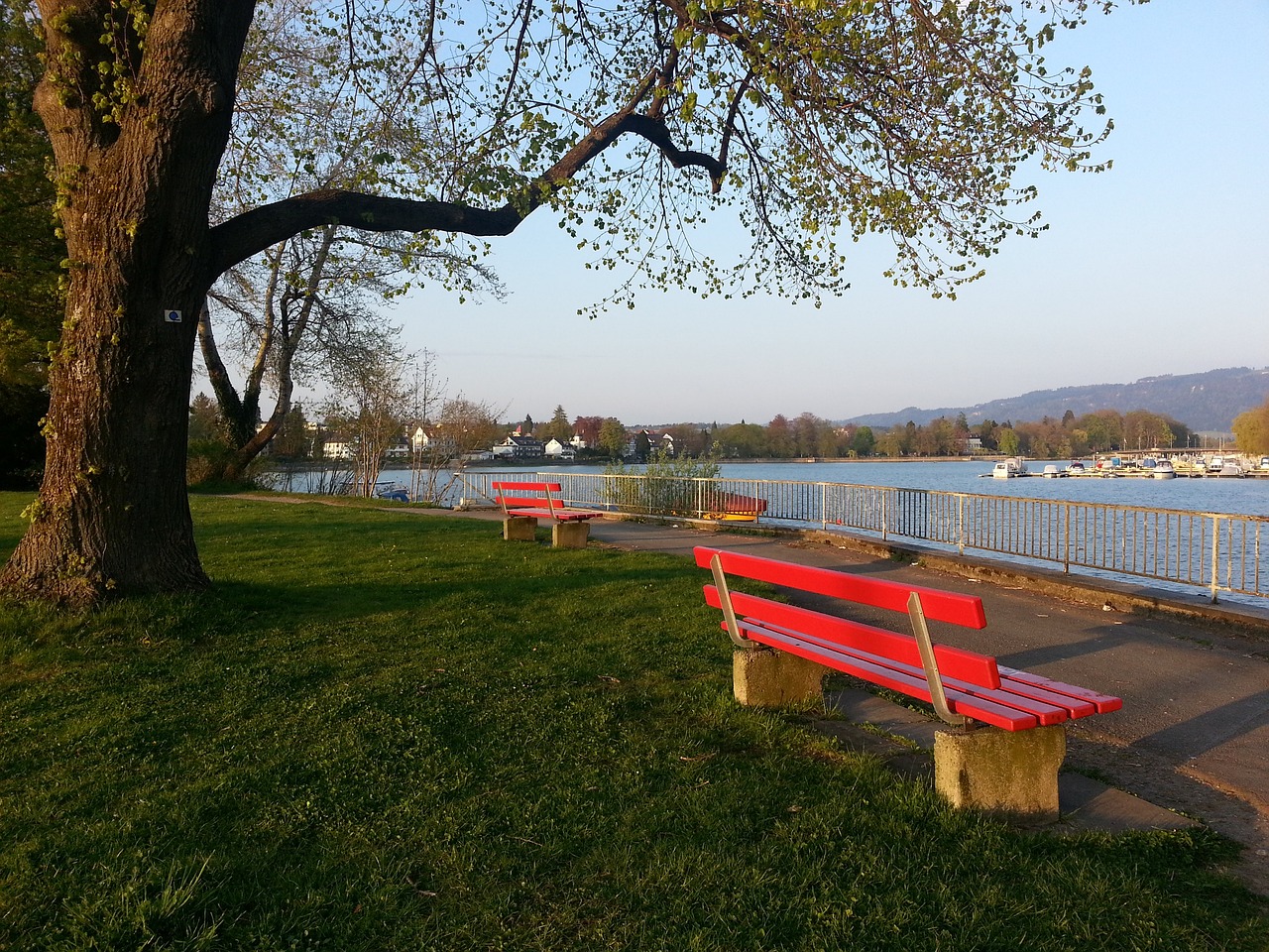 了团队表现 了团队表现